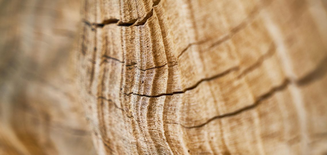 Spécialiste ponçage et vitrification de parquet à Pornic – Intervention Rapide