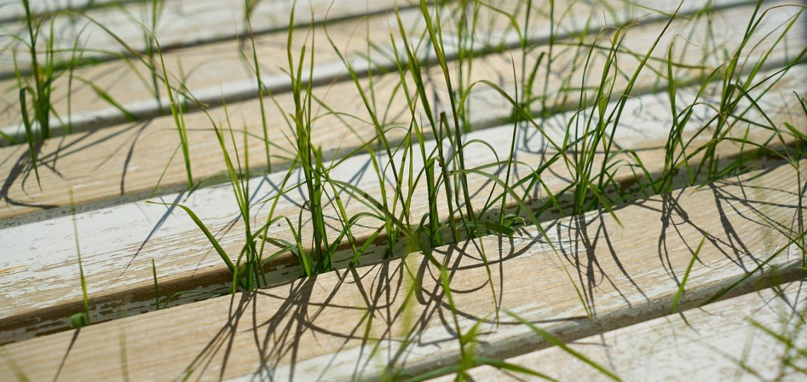 Meilleure Entreprise de restauration de parquet à Assérac – Intervention Rapide