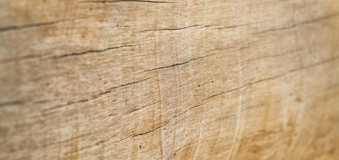 Expert rénovation de parquet à La Chapelle-des-Marais – Prix