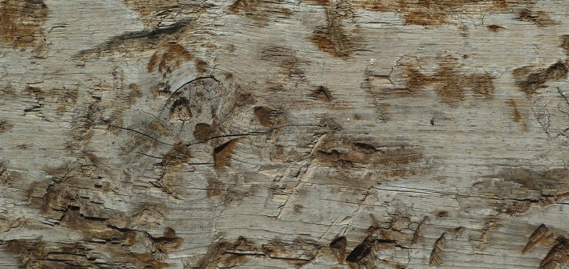 Expert en Rénovation traitement de parquet à La Roche-Bernard 56130 – Intervention Rapide