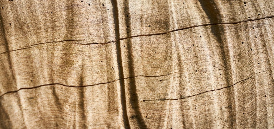Spécialiste du Vernis ponçage et vitrification de parquet à La Chapelle-sur-Erdre 44240 – Intervention Rapide
