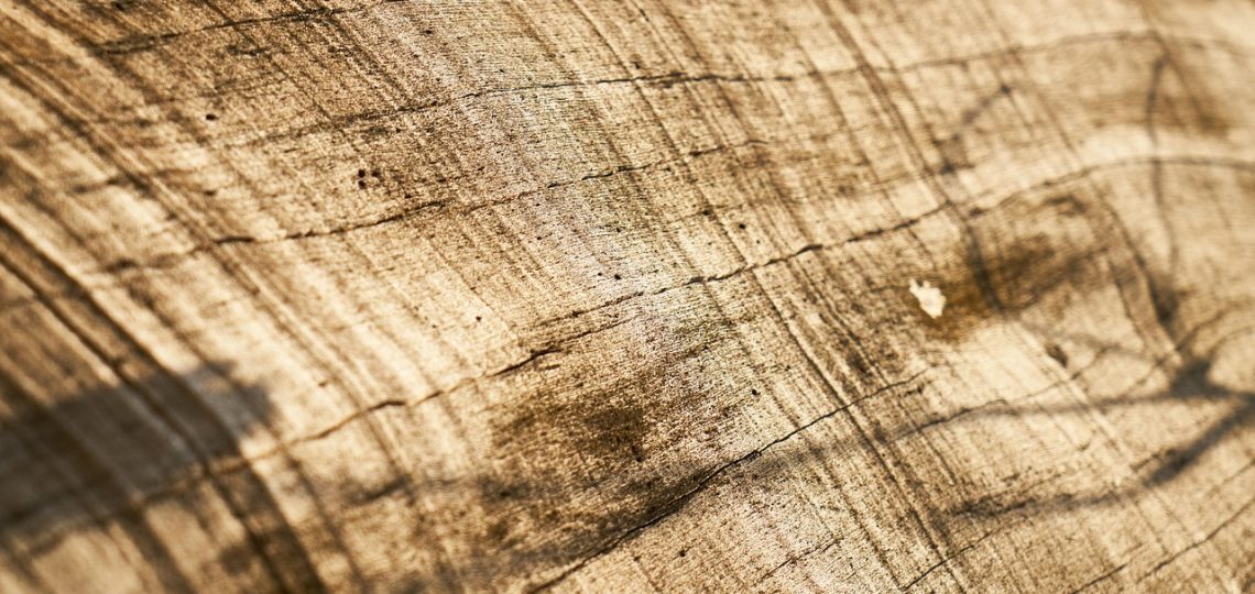 Spécialiste local vernis de parquet à Campbon	44750 – Prix
